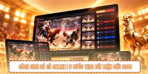 Cách Chơi Đá Gà Online | 5 Bước Theo Dõi Trận Đấu SC88