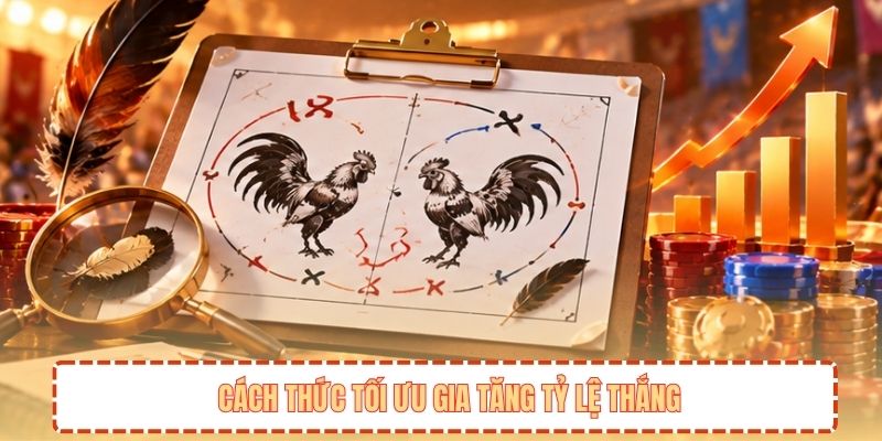 Cách thức tối ưu gia tăng tỷ lệ thắng