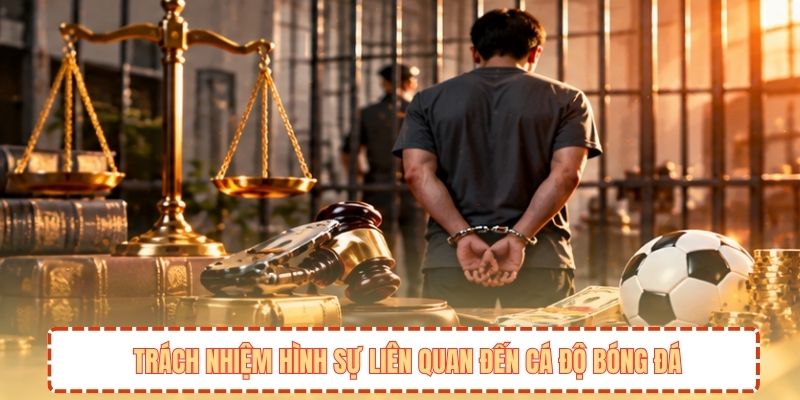 Trách nhiệm hình sự liên quan đến cá độ bóng đá